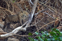 Something of interest down there?