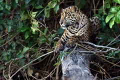 Engrossed in thoughts?