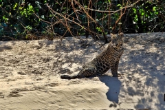 It is better to look back once in a while!