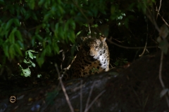 You are being watched!