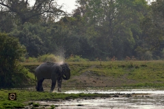 Some fun is in order!