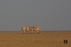 Going round in Circles!