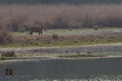 Don't encroach in my area