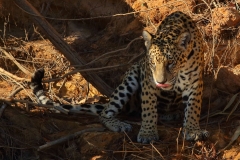 Anything interesting around Water?