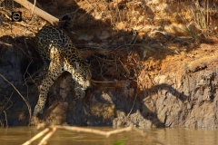 Final inspection before retreating back