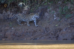 Should I wet my feet?