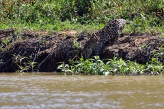 Do I see something interesting in water?