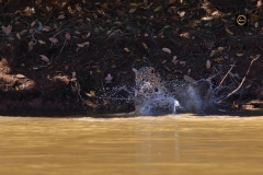 Splashing water, no problem!