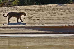 I rule this part of the planet!