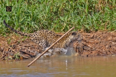 Splashing water, no problem!
