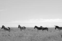 In straight line!