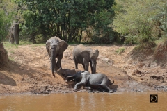 Mommy, I wanna play some more!