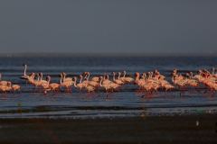 Scouting for new place?