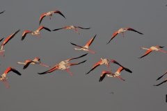 Flying off