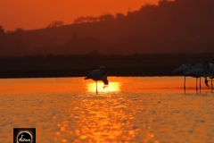 Standing on one leg, how long?