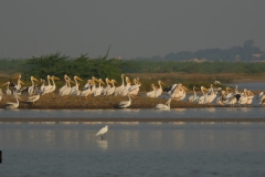 Something interesting on that side?