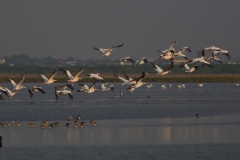 Take off in sync without air traffic controller!