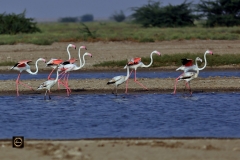 Gathering momentum on runway!