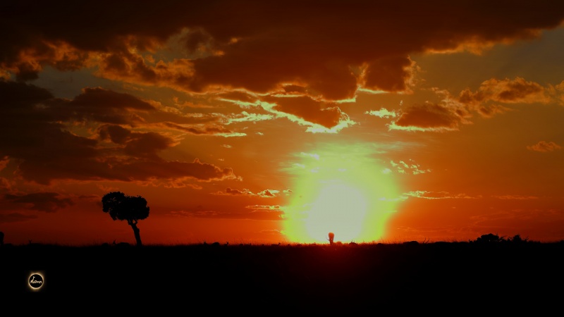 Masai Mara Magic