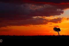 Standing tall, Alone!