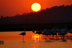 I can stand tall on one foot!