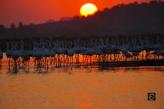 Bhigwan at Dusk