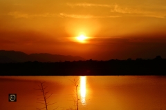 Evening in Kaziranga