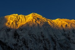 Morning Hues