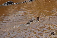 About to lose the race......