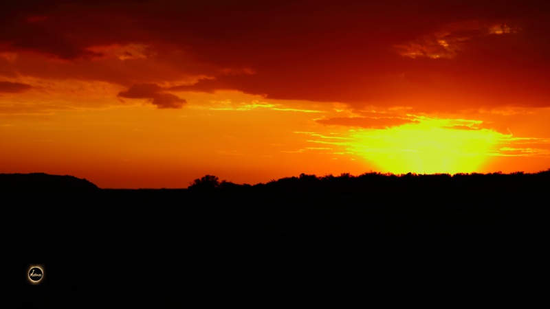 Sunset over Kaziranga