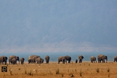 Corbett Vista