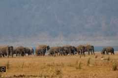 Corbett Vista