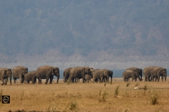 Corbett Vista