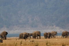 Corbett Vista
