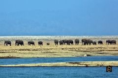 Corbett Vista