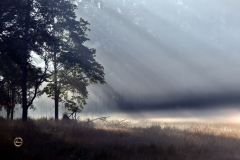 Early morning