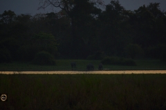 Drinking water before retiring for the day?