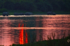 It is getting dark, time to go home