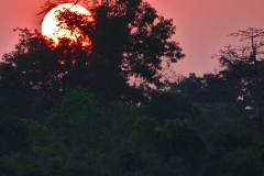 It is getting dark, time to go home