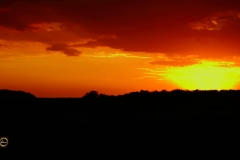 Sunset over Kaziranga