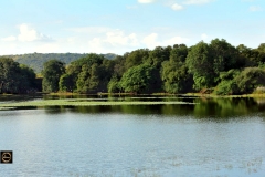 Blue and Green Waters at the same time, Wonders of Nature